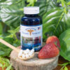 L-Glutathione plus Vitamin C x 90 Cápsulas - Imagen 4